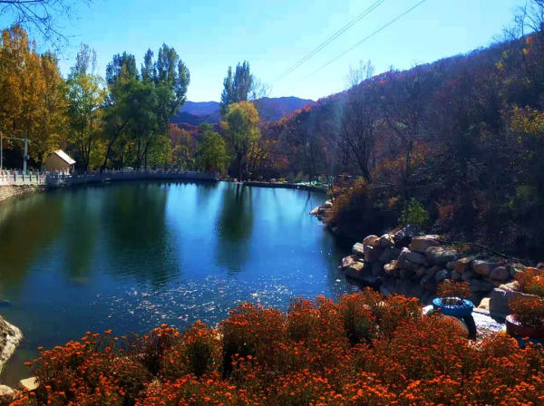 ​十月的喇叭溝彩葉漫山溪水潺潺美翻啦! ​十月的喇叭溝彩葉漫山溪水潺潺美翻啦!