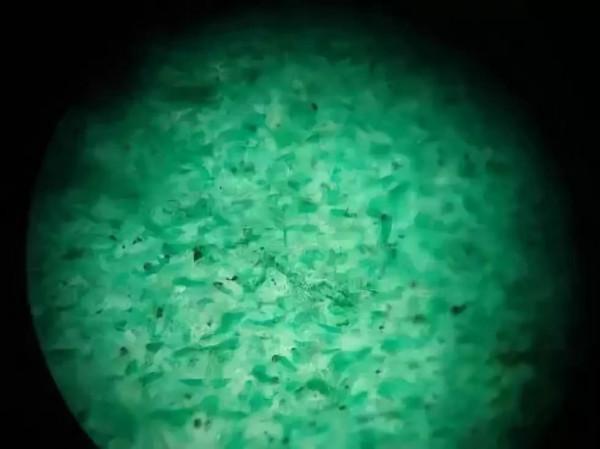 “沒有蒼蠅翅的翡翠統統都是假貨嗎？”不要再被騙了