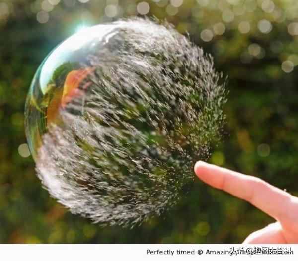 41張“活久未見”的巧合圖片，讓人感覺很難相信這是真的