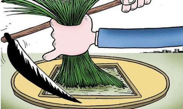 建材代理商是如何被品牌工廠割頭茬韭菜的? 建材代理商是如何被品牌工廠割頭茬韭菜的?