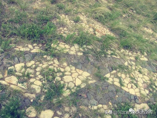 【微遊萬全】第三站:崢嶸歲月—802軍演觀禮臺 【微遊萬全】第三站:崢嶸歲月—802軍演觀禮臺