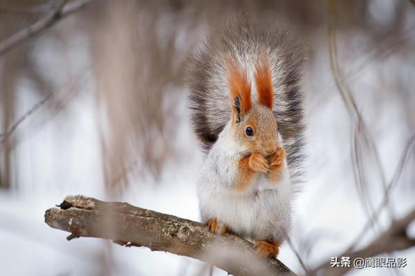 令人痴迷的美妙雪景