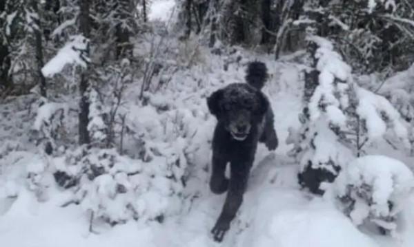 40張一眼會看錯的照片，大腦欺騙了你