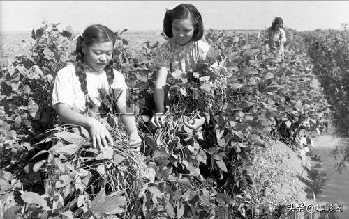 石家莊藁城縣五六十年代老照片
