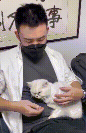 銀漸層被遺棄街頭,只能用垃圾充飢,不幸身患重病,男子做得很贊 銀漸層被遺棄街頭,只能用垃圾充飢,不幸身患重病,男子做得很贊