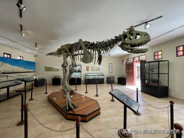 玻利維亞，滄海桑田的恐龍王國