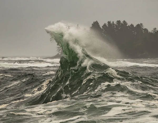 災難升級!加拿大西海岸一艘貨船著火,滿載中國貨物,船員棄船疏散,颶風已至 災難升級!加拿大西海岸一艘貨船著火,滿載中國貨物,船員棄船疏散,颶風已至