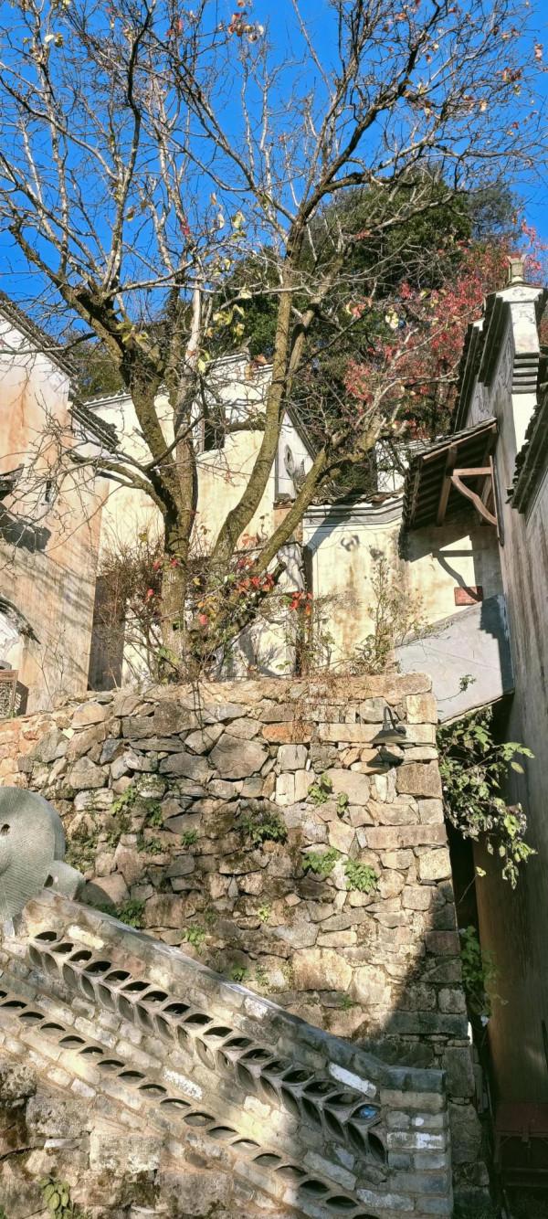 篁嶺遊走記，這是我目前見過的，最好的村落