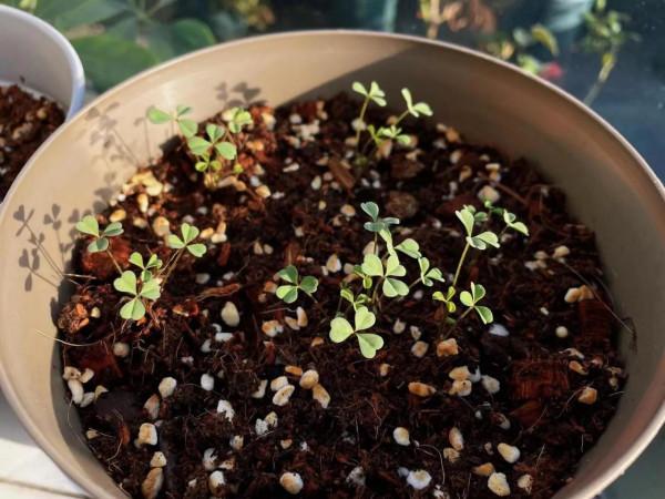 閒暇之餘，簡單，陽光，陪伴，成長......