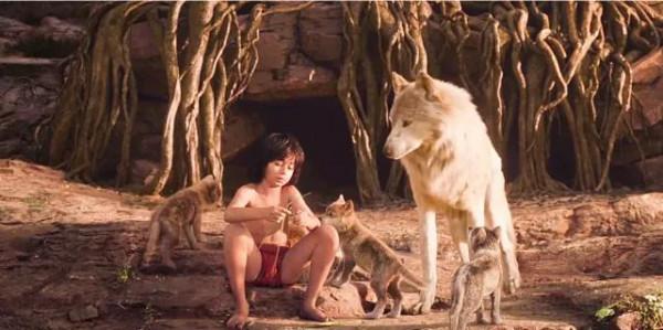 1946年,被狼群養大的男孩,勇敢保護狼群 1946年,被狼群養大的男孩,勇敢保護狼群