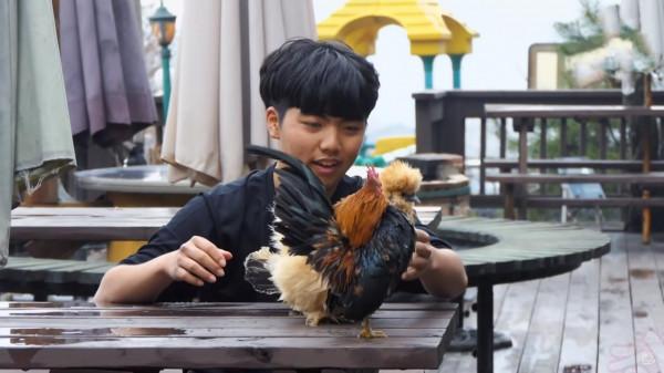 奇葩韓國高中生沉迷養雞，還帶雞上課，200只稀有雞震驚鳥類專家