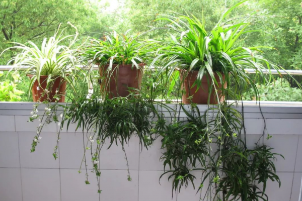 空淨也可以處理甲醛,是真的嗎?Jya空氣清淨機使用評測 空淨也可以處理甲醛,是真的嗎?Jya空氣清淨機使用評測