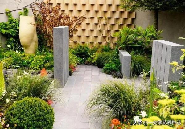 25種觀賞草,觀葉、賞花、好養、皮實,是花園最不可缺少的美景 25種觀賞草,觀葉、賞花、好養、皮實,是花園最不可缺少的美景