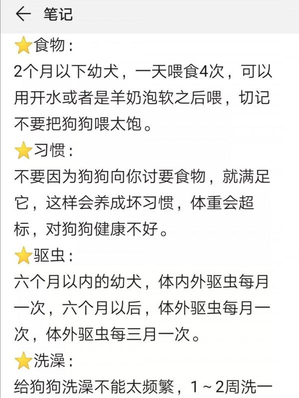 養狗新手接狗前，這些一定要清楚