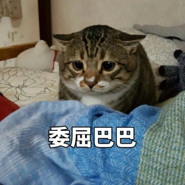 無孔不入！整容臉是如何毀掉各種電視劇的？