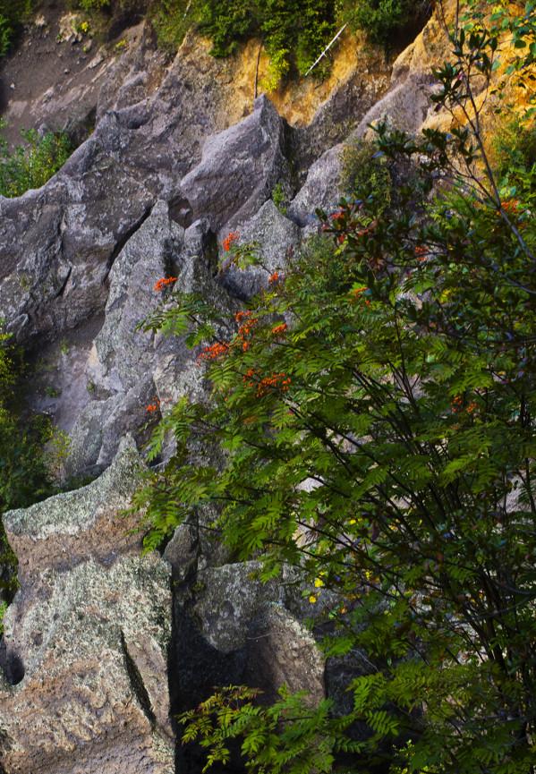 美輪美奐的長白山錦江大峽谷