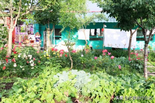 新疆伊犁天山下有個美麗的地方,雪山連綿野花盛開,風景遼闊壯觀 新疆伊犁天山下有個美麗的地方,雪山連綿野花盛開,風景遼闊壯觀