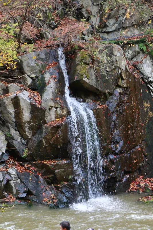 遼寧清原筐子溝楓葉正紅