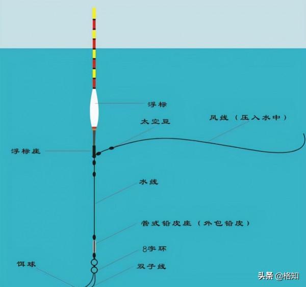釣魚新手到釣魚佬的蛻變，給即將入坑的釣友一些建議