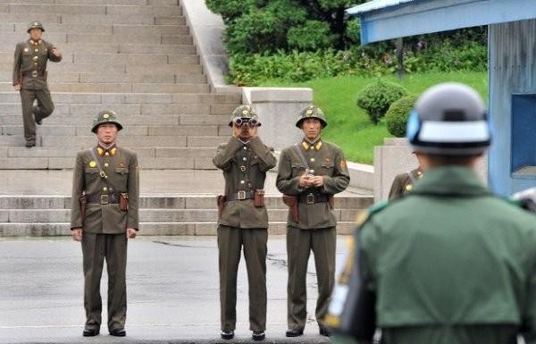 1976年，美國執意要砍掉一棵白楊樹，險些引發第二次朝鮮戰爭