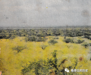 老照片 七十年代的非洲肯亞 非洲第一個野生動物園