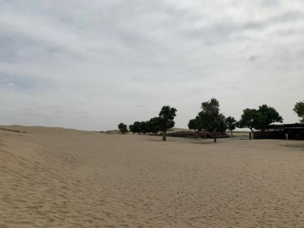 大美新疆（十）羅布人村