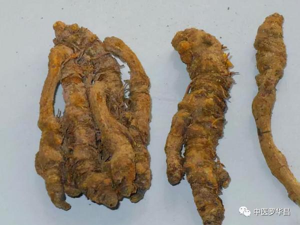 半夏黃連之配對，乃調胃腸，理氣機，和陰陽之常用藥對！附醫案