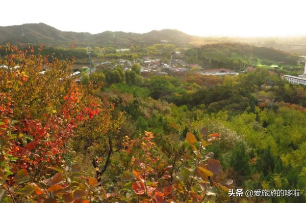 看展喝咖啡、賞壁畫、聽古樂…這座城市的寺廟也太厲害了吧