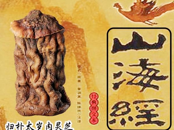 6年前,那個撿到太歲一夜暴富的遼寧農民王承德,後來創業去了 6年前,那個撿到太歲一夜暴富的遼寧農民王承德,後來創業去了