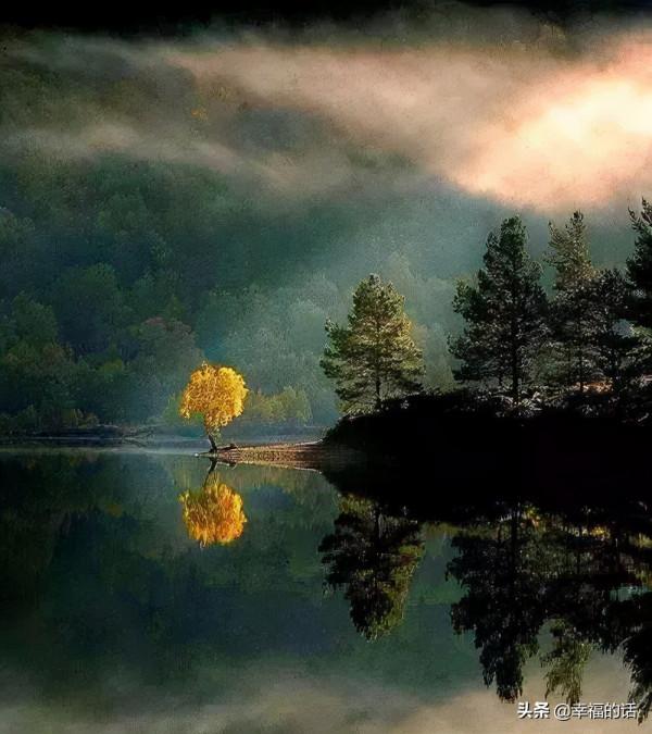 五彩繽紛的世界 五彩繽紛的世界