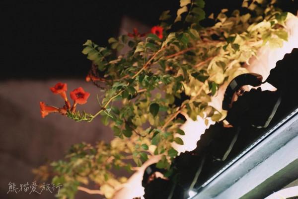 蘇州平望，因京杭古運河而生的別樣江南水鄉，3天2晚這麼玩