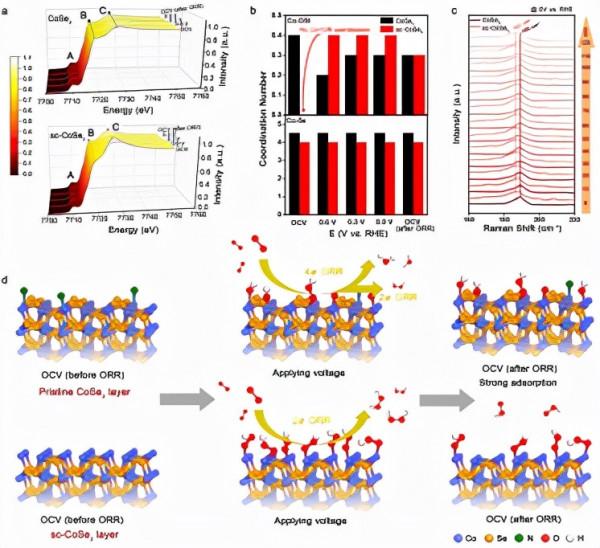 中國科大研製強耦合催化劑實現酸性介質中過氧化氫的高效電合成 中國科大研製強耦合催化劑實現酸性介質中過氧化氫的高效電合成