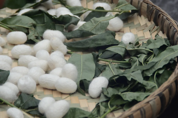 這套被子價效比也太高了吧？！秋冬選被子就看這篇