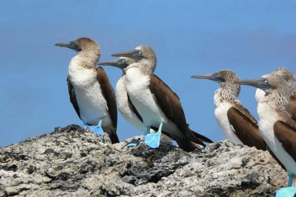 在這10處綠色住宿地,體驗原汁原味的大自然 在這10處綠色住宿地,體驗原汁原味的大自然