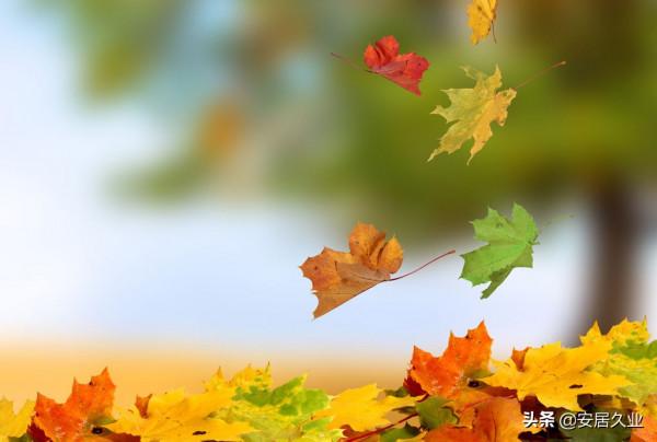 2層新中式別墅這樣建才算美，平面佈局舒適，有堂廳主臥帶獨衛