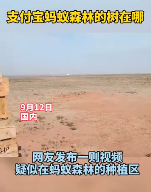 馬雲承諾每年種1億棵樹，五年過去了，這些樹都怎麼樣了？