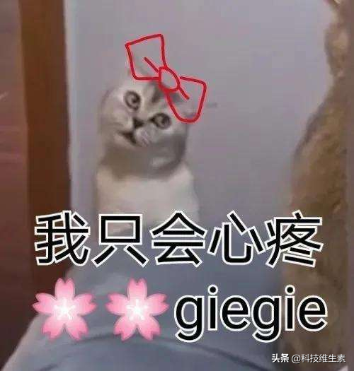 OPPO之砒霜，realme之甘飴：realme T1智慧手錶使用報告