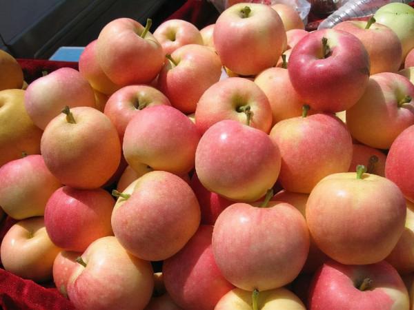 堅持晨起空腹吃一個蘋果,身體會有何變化?不妨瞭解,或有益健康 堅持晨起空腹吃一個蘋果,身體會有何變化?不妨瞭解,或有益健康