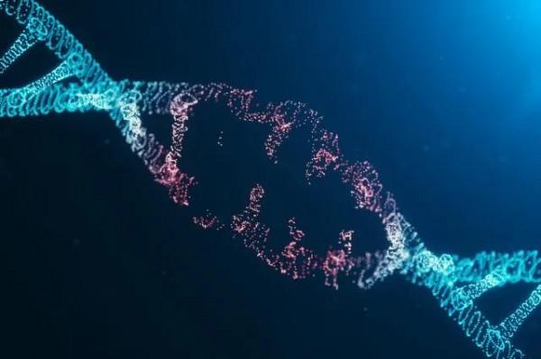 速遞 | 個體化mRNA癌症疫苗步入2期臨床試驗,預防結直腸癌復發 速遞 | 個體化mRNA癌症疫苗步入2期臨床試驗,預防結直腸癌復發