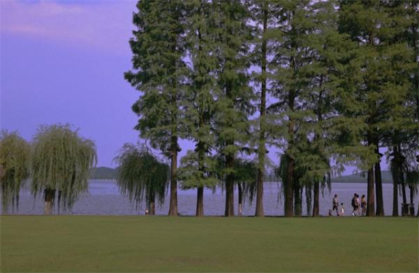 援助新四軍近百兩黃金，臨終前捐給國家億萬家產，死後葬在八寶山