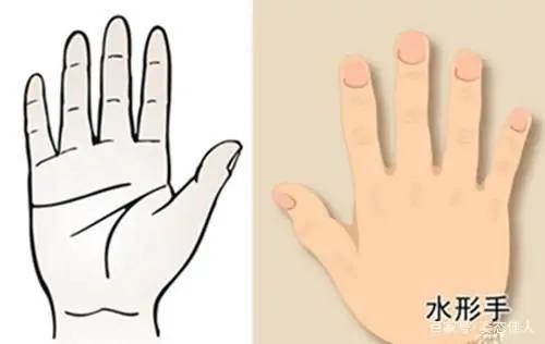 來看看你是什麼手型吧 來看看你是什麼手型吧