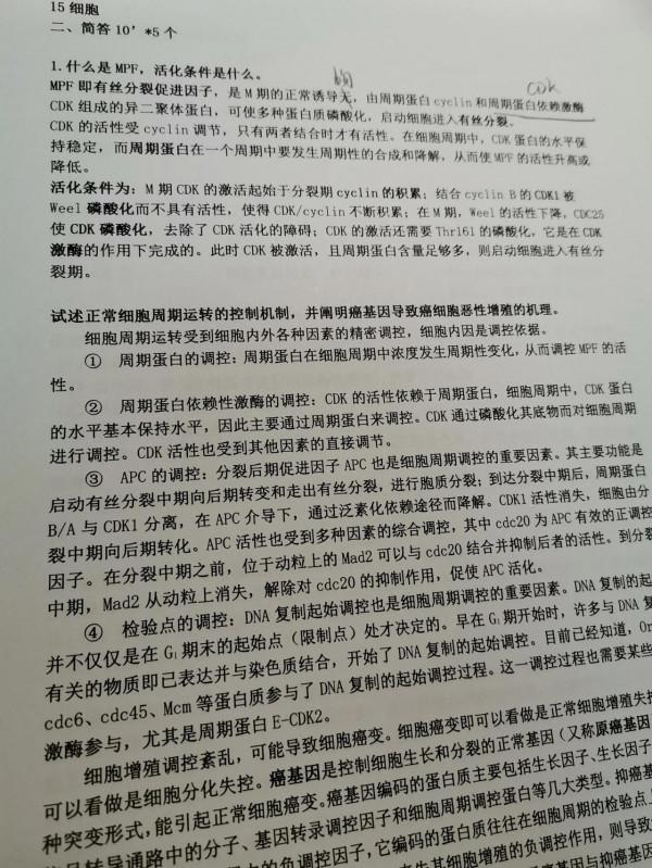 揹著寶寶在小房間奮鬥