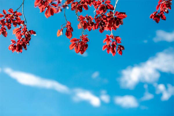 人生最難的事,就是認知自己 人生最難的事,就是認知自己