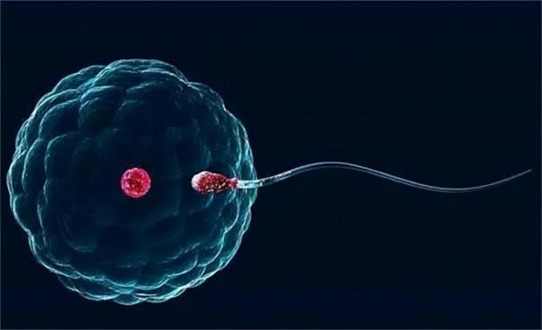 中國首例試管嬰兒鄭萌珠,31年後,在出生時的產房誕下一健康女嬰 中國首例試管嬰兒鄭萌珠,31年後,在出生時的產房誕下一健康女嬰