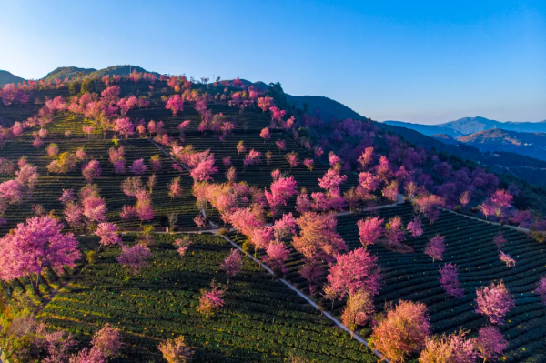 太美了!10個愈秋愈美的小眾旅行地,錯過只能再等一年 太美了!10個愈秋愈美的小眾旅行地,錯過只能再等一年