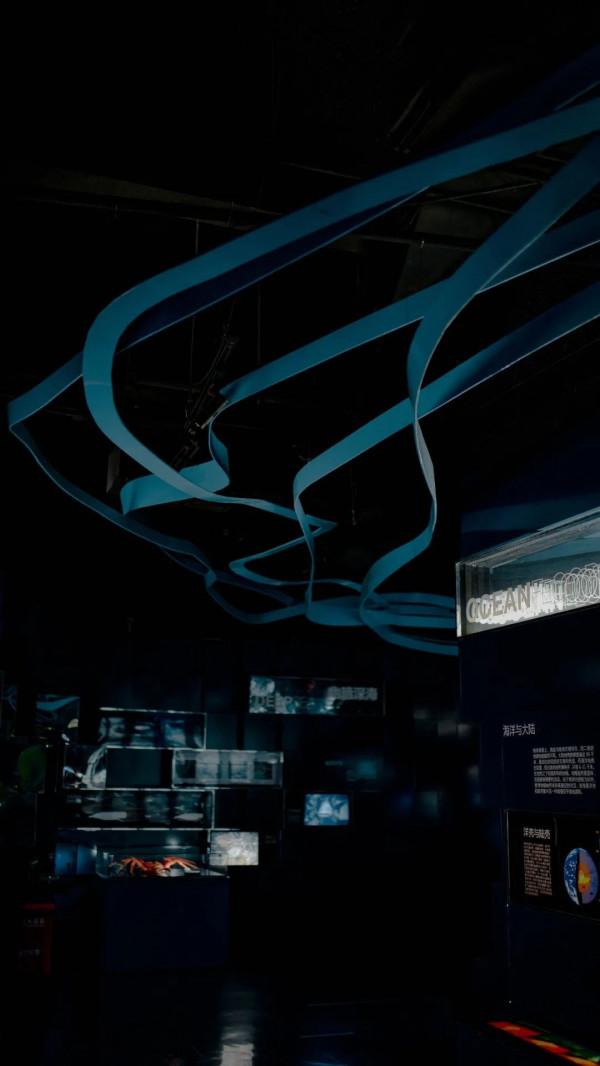 打卡！同濟這個神秘浪漫“基地”火出圈