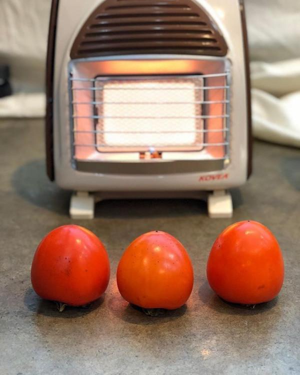 一個月減脂10kg！韓女星樸信惠分享私人減脂食譜：是營養師搭配的