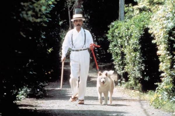 12月院線新片高達36部,競爭白熱化,葛優黃渤古天樂誰主沉浮? 12月院線新片高達36部,競爭白熱化,葛優黃渤古天樂誰主沉浮?