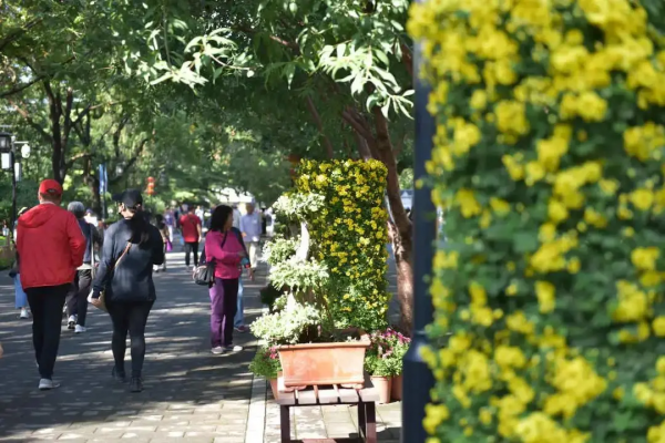 這幾個公園“上新”了，有菊花、蘭花、南瓜、石榴、山楂…