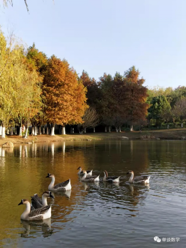 大學城的小動物